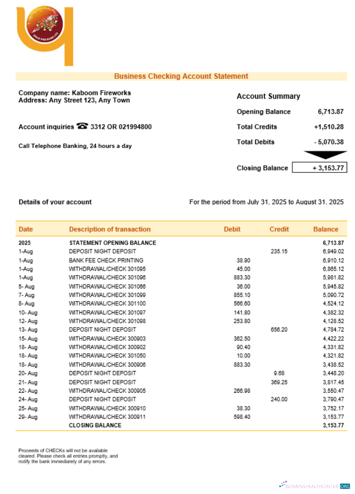 Download Druk PNB bank firm account statement Word and PDF template Photoshop template